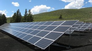 Descubre la importancia del cuidado y protección del medio ambiente por parte de las empresas y cómo promoverlo desde tu organización.