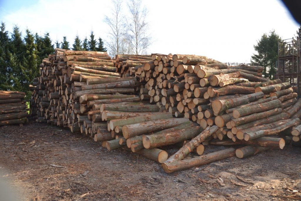 Escasez de madera