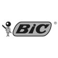 logo_bic